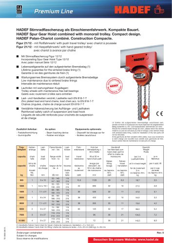 21/12 H Spur Gear Hoist with trolley