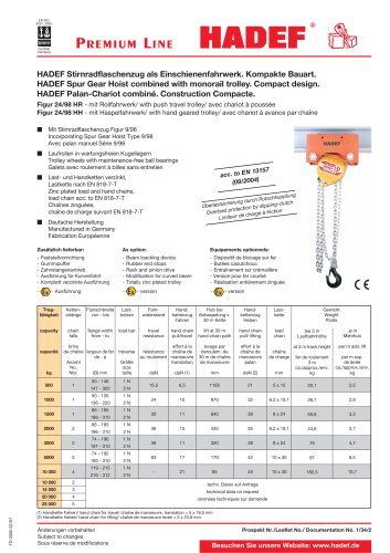 24/98 H  Spur Gear Hoist with trolley