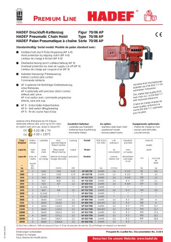 70/06 AP  Pneumatic Chain Hoist