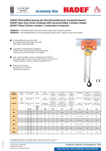 economy line Spur Gear Hoist with trolley