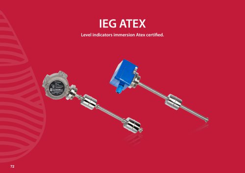 IEG ATEX