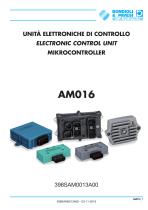 Electronic Control Unit