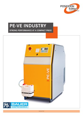 PE-VE INDUSTRY 2024