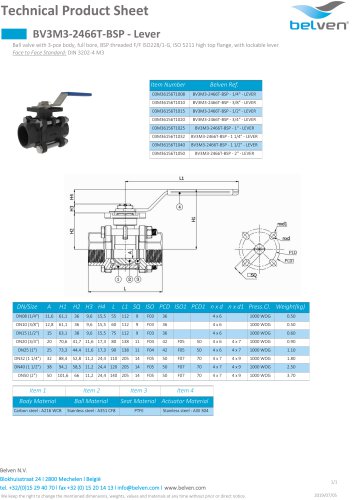 BV3M3-2466T-BSP - Lever