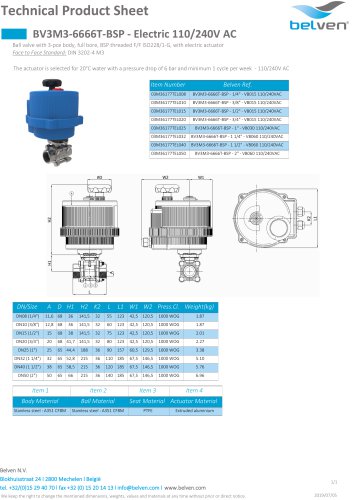 BV3M3-6666T-BSP - Electric 110/240V AC