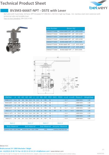 BV3M3-6666T-NPT - DSTE with Lever