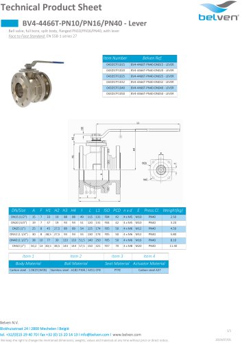 BV4-4466T-PN10/PN16/PN40 - Lever