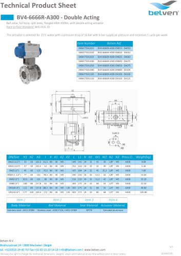 BV4-6666R-A300 - Double Acting