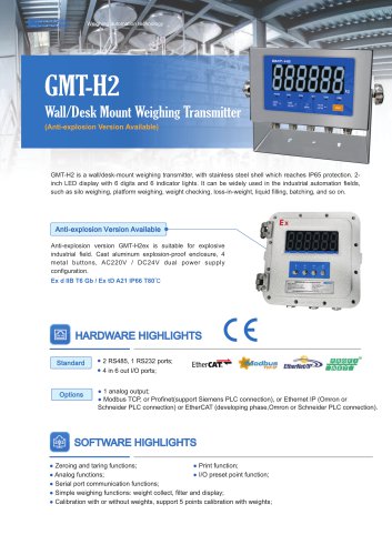 Weighing Indicator GMT-H2