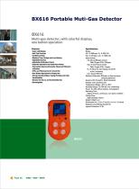 BX616 for Four Gases Detection