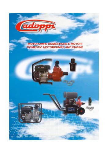 CATALOGUE MOTOPUMPS DOMESTIC