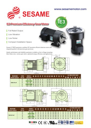 IE3 Premium Efficiency Gear Motor