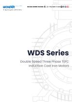 WDS Series Double Speed Three Phase TEFC Induction Cast Iron Motors