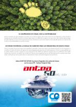 Antea-7