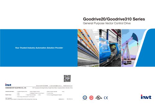 Goodrive20/Goodrive310 Series