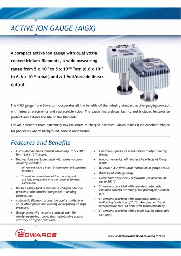 Active Ion Gauge Datasheet