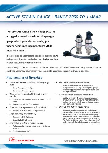 Active Strain Gauge Datasheet