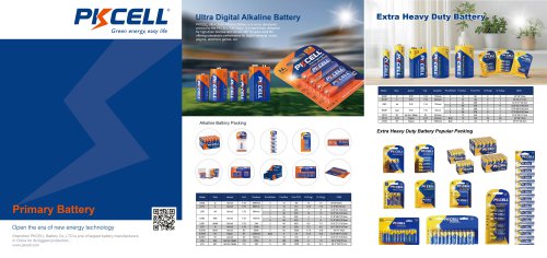 Primary battery