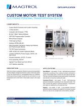 Custom motor test system