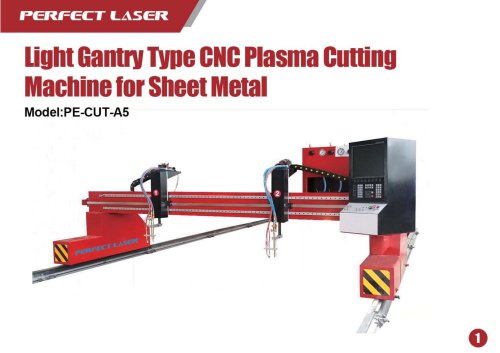 Perfect Laser Plasma laser cutter Light Gantry Type PE-CUT-A5