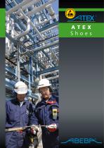 Atex shoes