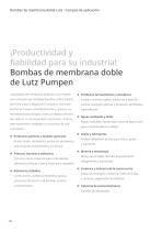 Bombas de membrana doble-8