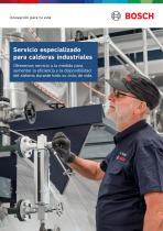 Servicio especializado para calderas industriales - Ofrecemos servicio a la medida para aumentar la eficiencia y la disponibilidad del sistema durante todo su ciclo de vida-1