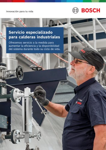 Servicio especializado para calderas industriales - Ofrecemos servicio a la medida para aumentar la eficiencia y la disponibilidad del sistema durante todo su ciclo de vida