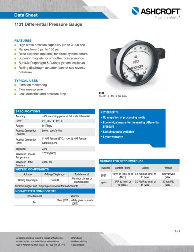 1131 Differential Pressure Gauge