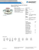 Types 402/403 Flanged All-Welded Diaphragm Seal