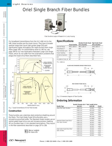 Single Branch Fiber Bundles  