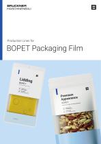 BOPET Packaging Film