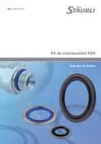 Kit de estanqueidad KES - 1