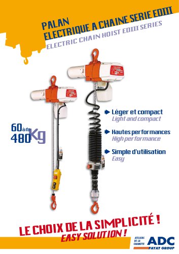 III series electric chain hoist (220V)