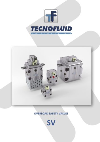 OVERLOAD SAFETY VALVES