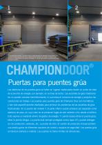 Champion Door Puertas para Puentes Grúa - 2