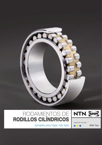 RODAMIENTOS DE RODILLOS CILÍNDRICOS_2016