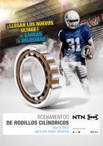 RODAMIENTOS DE RODILLOS CILÍNDRICOS_2017 - 1