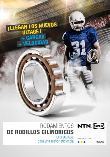 RODAMIENTOS DE RODILLOS CILÍNDRICOS_2017