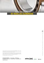 RODAMIENTOS DE RODILLOS CILÍNDRICOS_2017 - 5