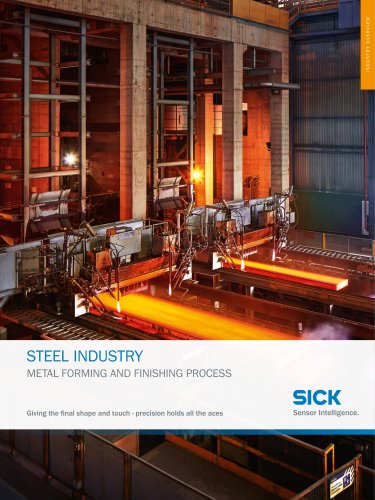 STEEL INDUSTRY