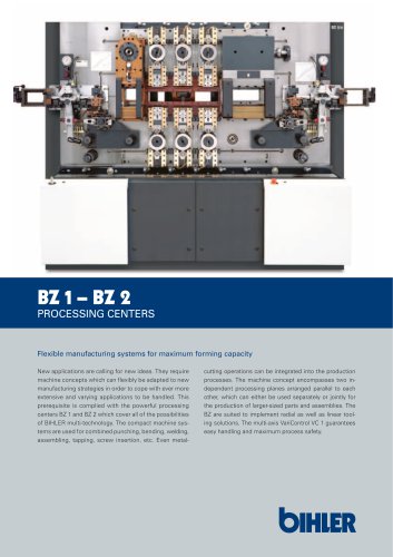 Flyer Processing center BZ 1