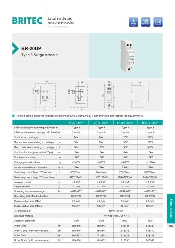 TYPE 3 SURGE ARRESTER / SINGLE-POLE / DIN RAIL / AC BR-20DP 2P BR-20DP 1+1