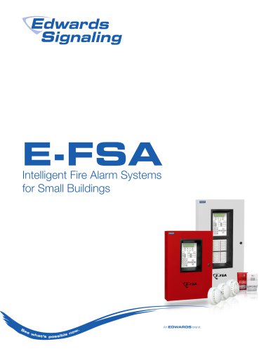 E-FSA_Brochure