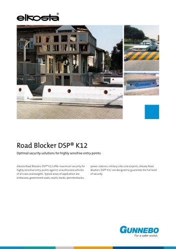 RoadBlockerDSP-2p-GB-low