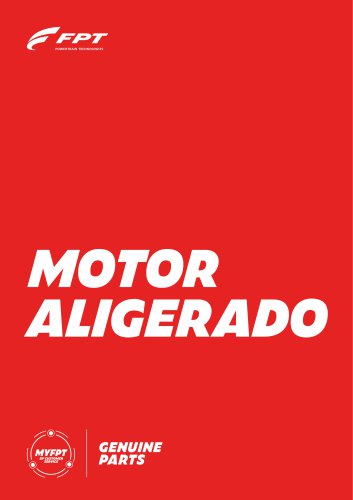 MOTOR ALIGERADO