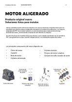 MOTOR ALIGERADO - 2