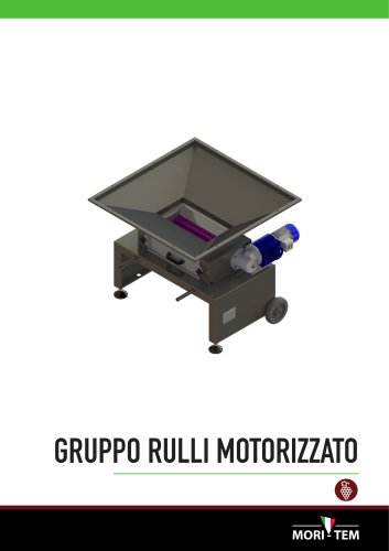 GRUPPO RULLI MOTORIZZATO