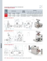 Ham-Let Astava Line of Manifolds - 10