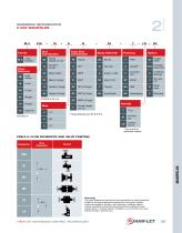 Ham-Let Astava Line of Manifolds - 11